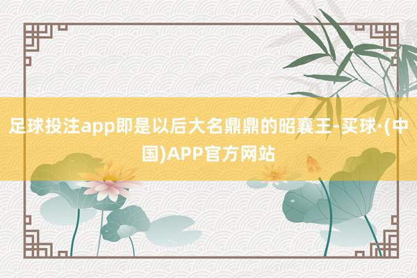 足球投注app即是以后大名鼎鼎的昭襄王-买球·(中国)APP官方网站