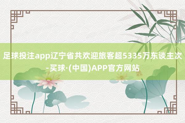 足球投注app辽宁省共欢迎旅客超5335万东谈主次-买球·(中国)APP官方网站