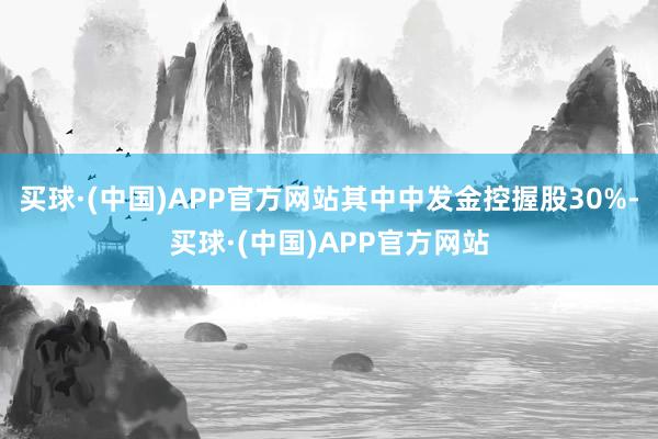 买球·(中国)APP官方网站其中中发金控握股30%-买球·(中国)APP官方网站