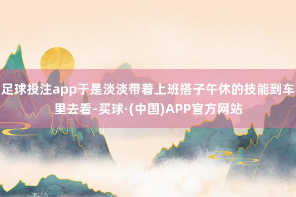 足球投注app于是淡淡带着上班搭子午休的技能到车里去看-买球·(中国)APP官方网站